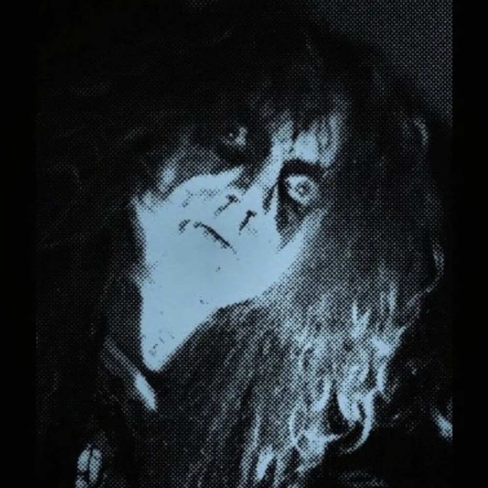 Meet your Posher, Archie!!!